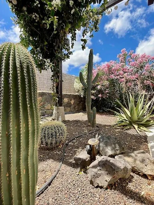 Villa Spacieuse Et Lumineuse Avec Piscine Chauffee لا أوليفا 0*,  إسبانيا